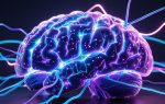 The 8 Best Neural Networks for Power Now