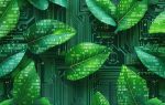 Green Software Design Master Sustainable Coding Now